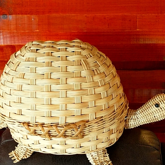 Turtle Basket - Picture 2 of 7